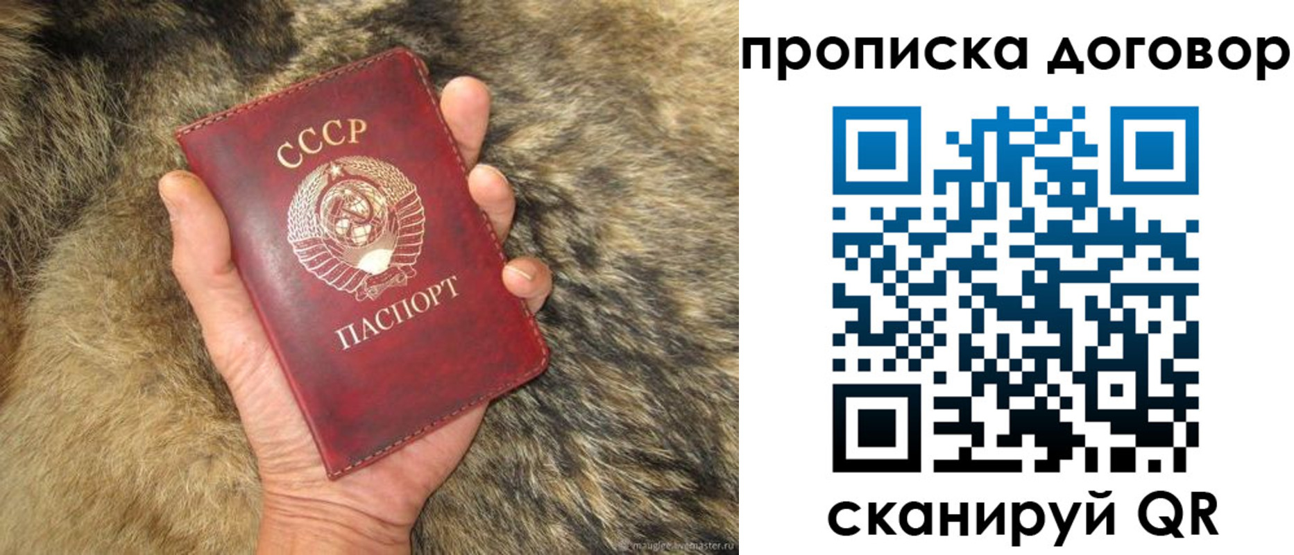 прописка регистрация в Северной Осетии